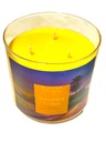 Sunshine Citrus 3 Wick Candle
