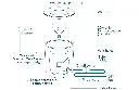 Screenshot 2025-07-06 at 1.09.52 PM.webp
