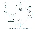 Screenshot 2025-07-06 at 1.09.43 PM.webp