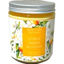 Citrus Amber Blossom Single Wick Soy Candle