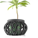 Lyren Planter / Orchid Combo