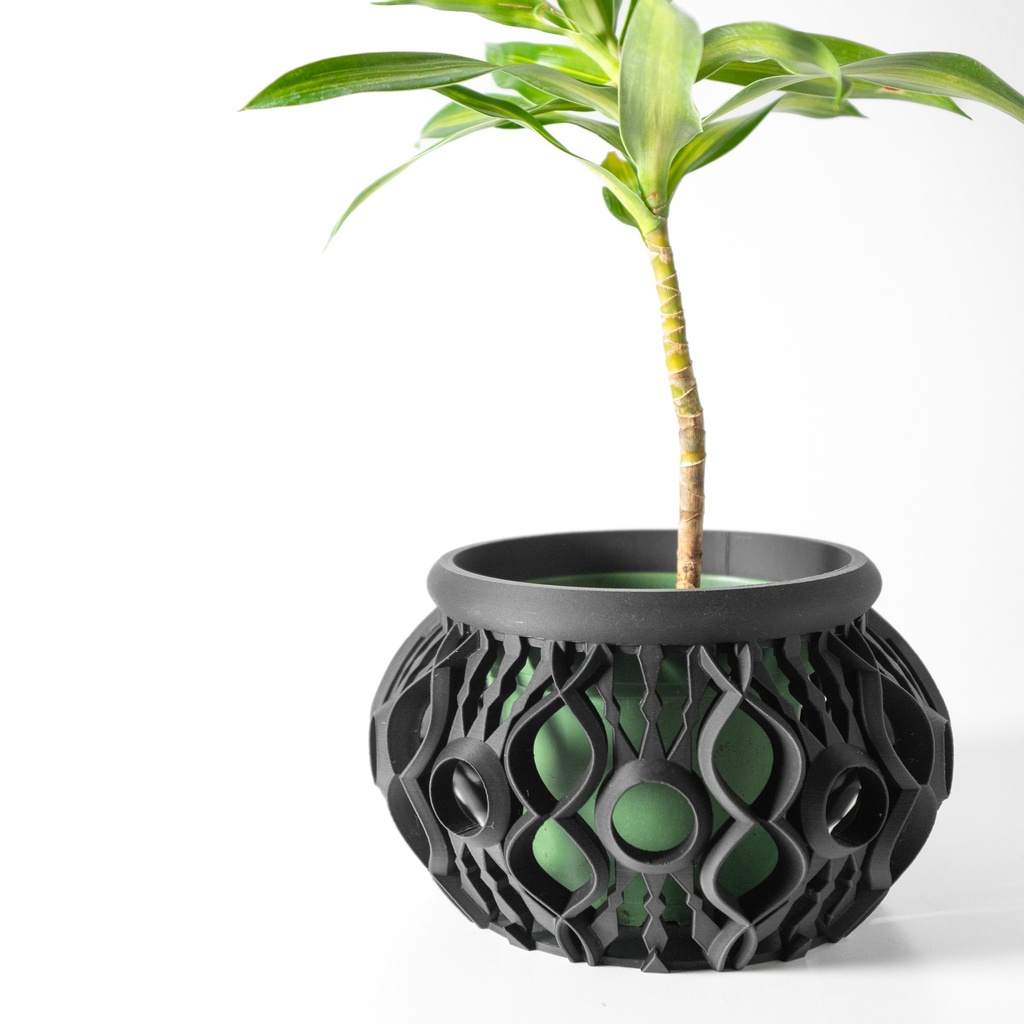 Lyren Planter / Orchid Combo