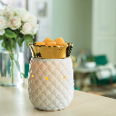 Pineapple Illumination Wax Melt Warmer