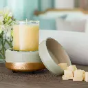 Midas 2-in-1 Classic Fragrance Warmer