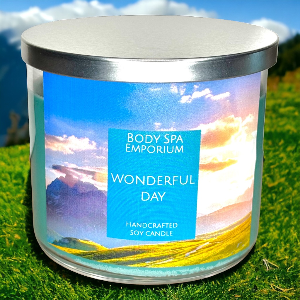 Wonderful Day 3 Wick Soy Candle