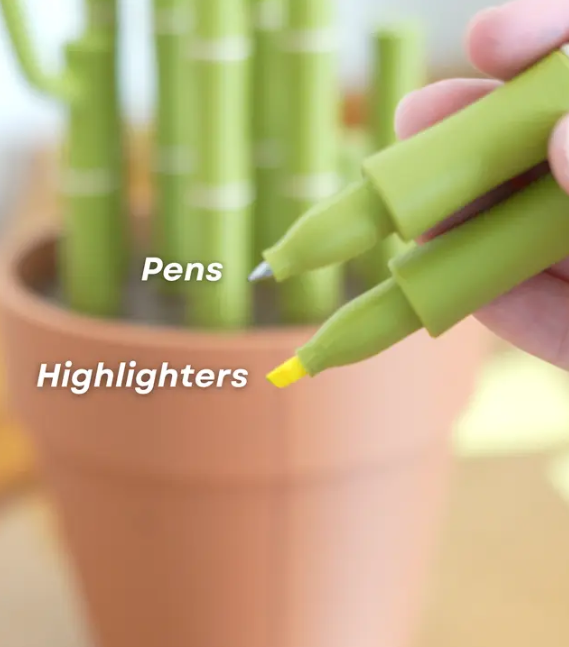 Bamboo Bookend Plant Office Center