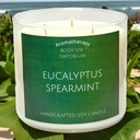 Eucalyptus Spearmint 3 Wick Soy Candle