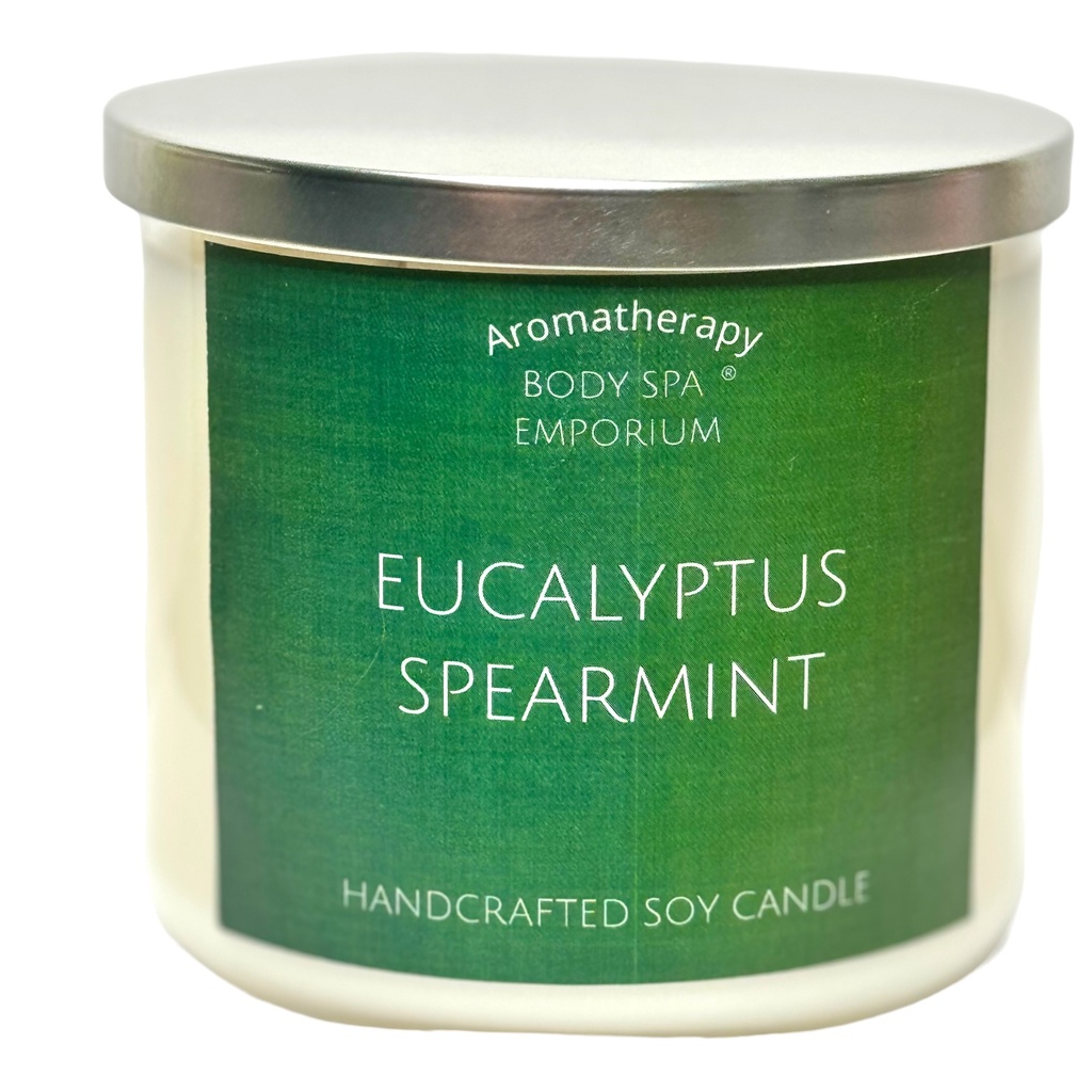 Eucalyptus Spearmint 3 Wick Soy Candle