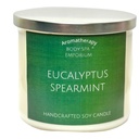 Eucalyptus Spearmint 3 Wick Soy Candle