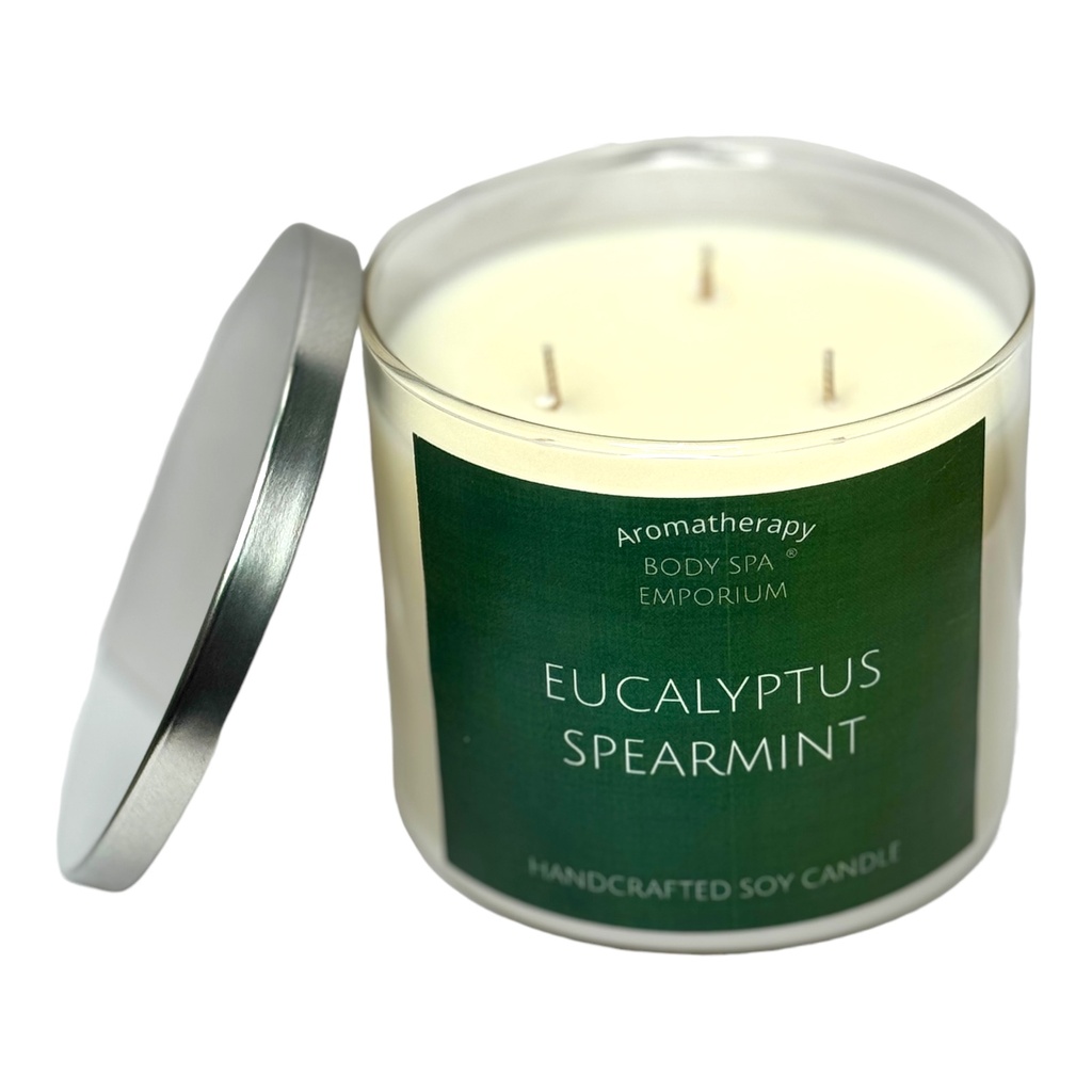 Eucalyptus Spearmint 3 Wick Soy Candle