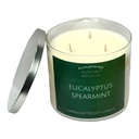 Eucalyptus Spearmint 3 Wick Soy Candle