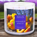 Lavender & Apricot 3 Wick Soy Candle