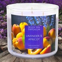 Lavender & Apricot 3 Wick Soy Candle
