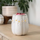 Pumpkin Illumination Fragrance Warmer