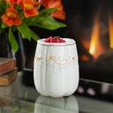 Pumpkin Illumination Fragrance Warmer