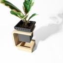 THE DAKA PLANTER POT WITH DRAINAGE TRAY & STAND