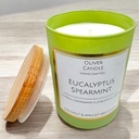 Eucalyptus Spearmint Candle