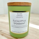 Eucalyptus Spearmint Candle