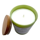 Eucalyptus Spearmint Candle