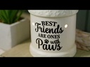 youtube - [Video]