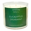 Eucalyptus Spearmint 3 Wick Soy Candle