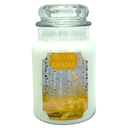 Vanilla Birch Apothecary Jar Candle
