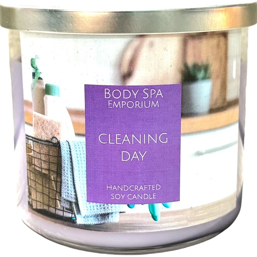 [805736] Cleaning Day 3 Wick Soy Candle